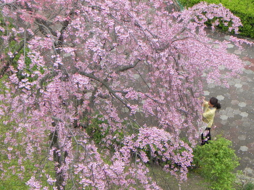 DSCN8059