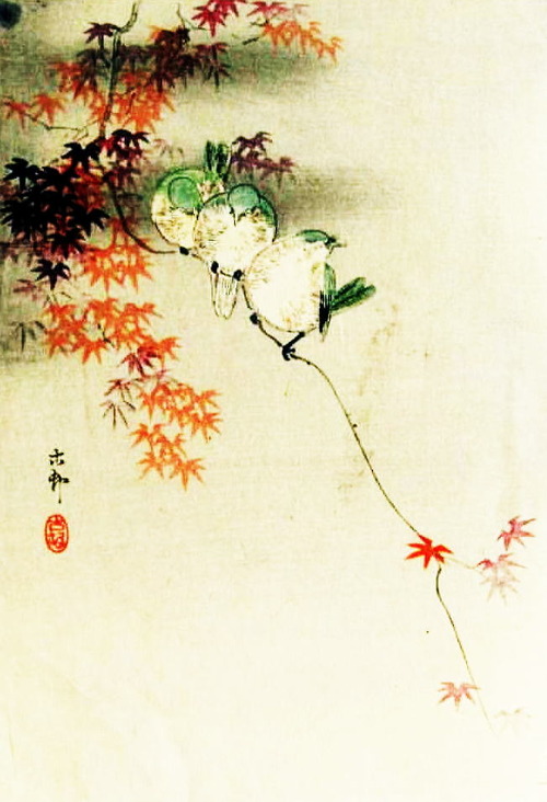 小原古邨　紅葉にメジロ