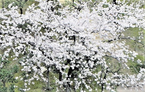 DSCN0118