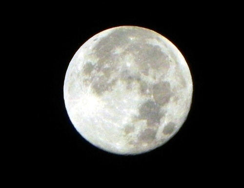 DSCN6578 - コピー