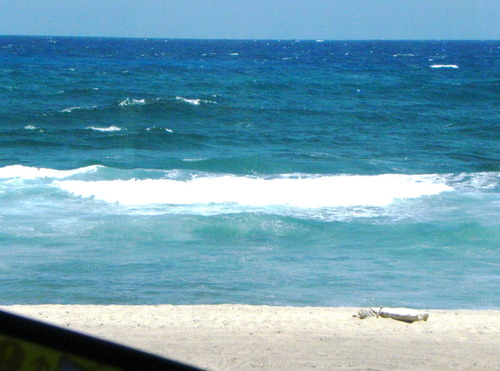 DSCN8375