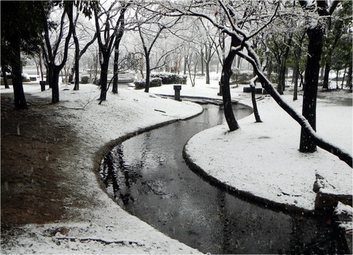 DSCN9076 - コピー