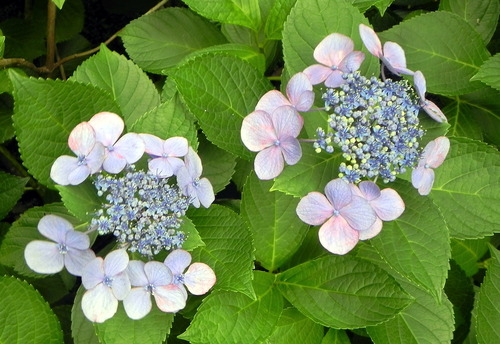 DSCN1429