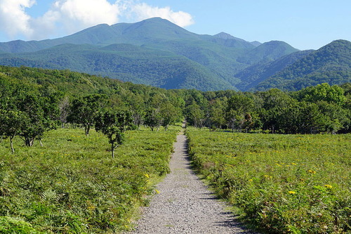 知床　知西別　ちにしべつ 1317