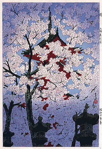 笠松紫浪　その８　東照宮cherry-ueno