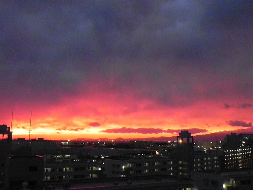 DSCN6516 - コピー