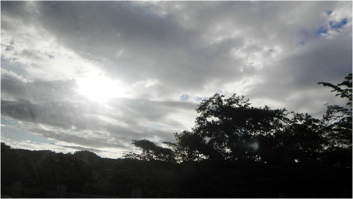 DSCN3074