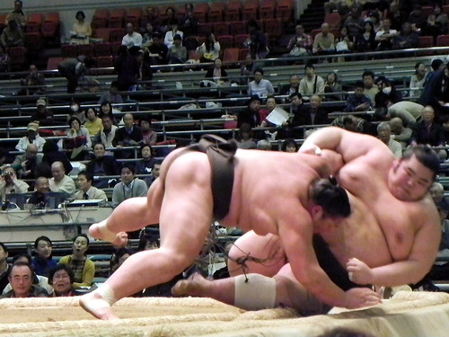 DSCN9123-1000