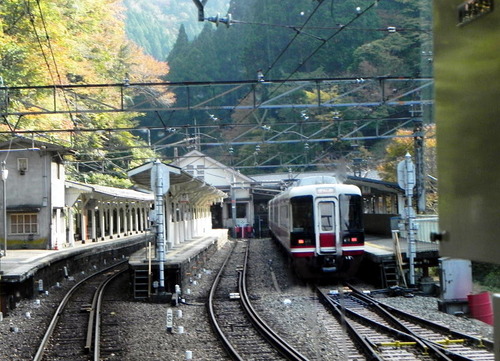 DSCN6707