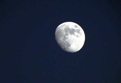 DSCN7169