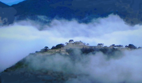 DSCN6638