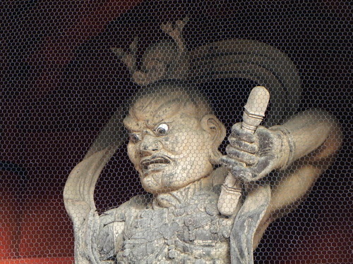 DSCN6722