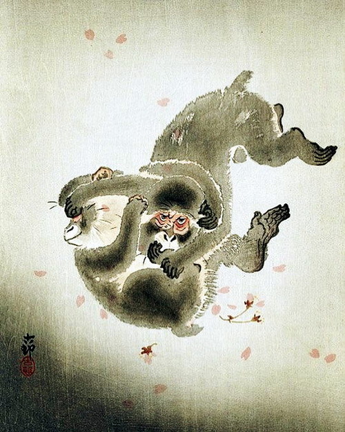 小原古邨　桜吹雪に小猿