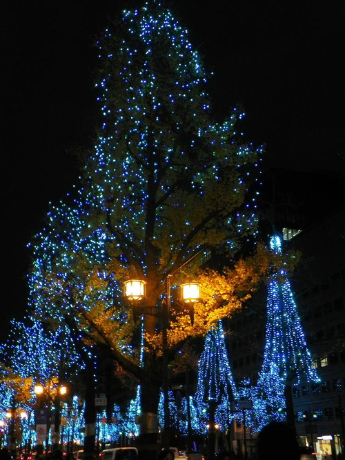DSCN6538