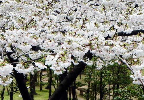 DSCN4035-1000
