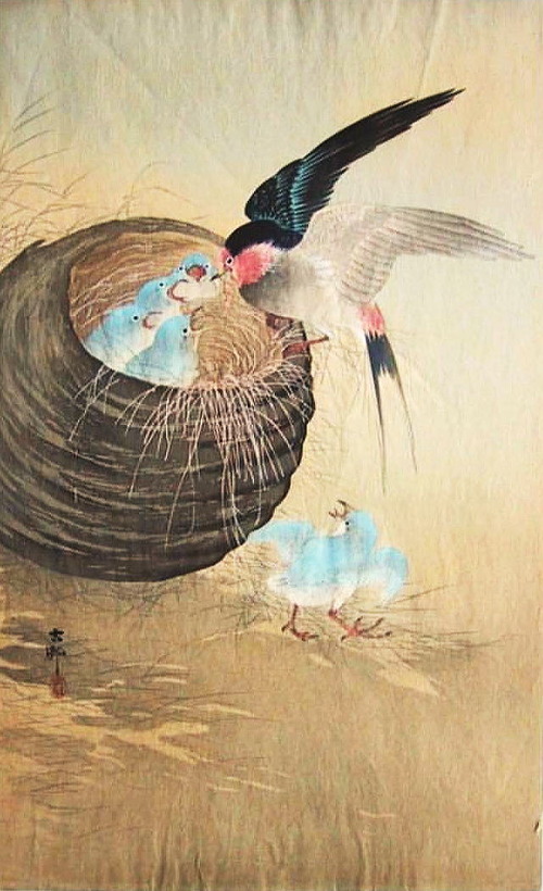 小原古邨　燕の巣