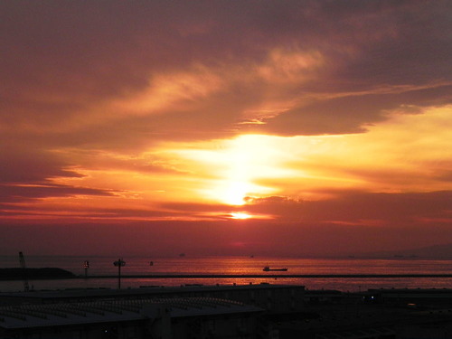 DSCN7184