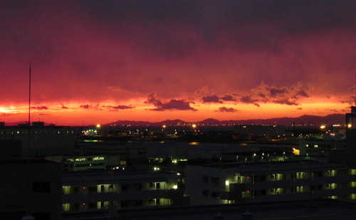 DSCN6520 - コピー