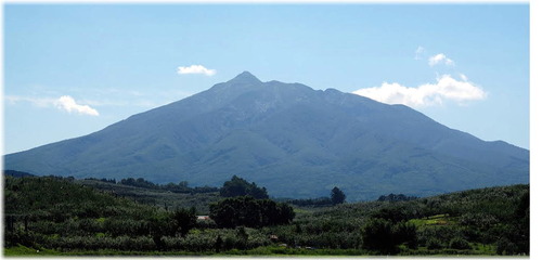 95116034 - コピー