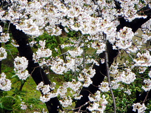 DSCN4021-1000