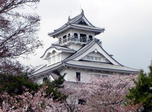 DSCN4369-1000