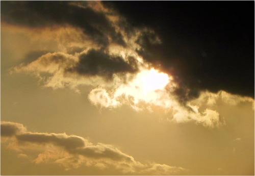 DSCN8910