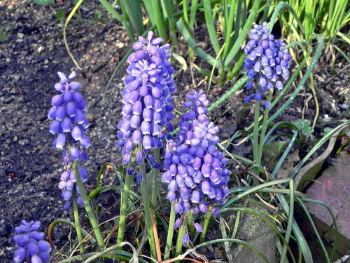 DSCN9391