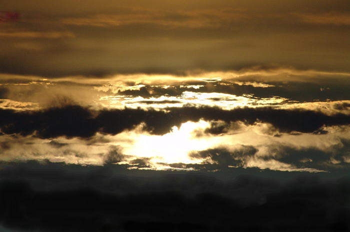 dsc00031.jpg