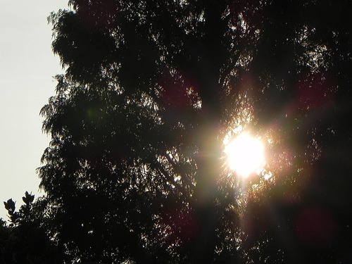 DSCN7538