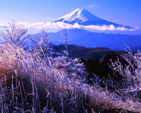 3024787 白谷ケ丸から