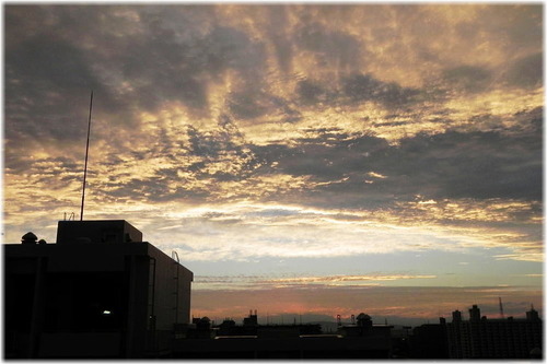DSCN8875