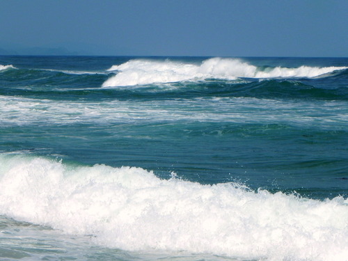 DSCN0106 - コピー