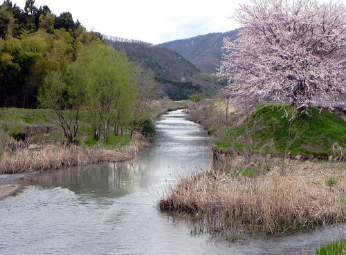 DSCN4476-1000 小谷山の麓 田川