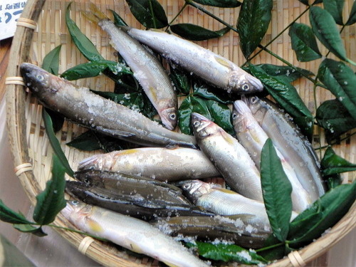 DSCN0097