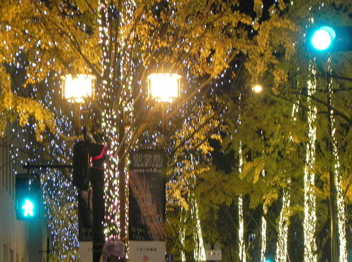 DSCN9952 - コピー