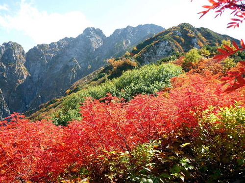 21396_165438380247287_1084679485_n