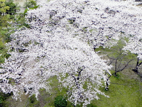 DSCN8056