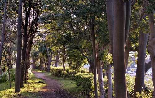 DSC05245