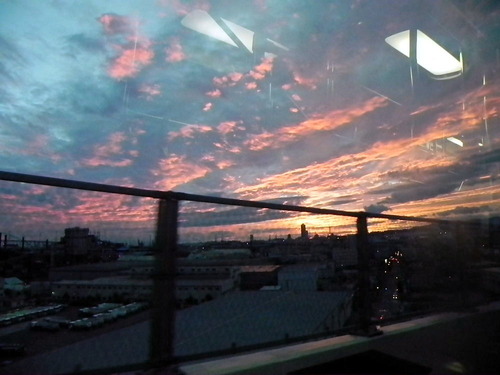 DSCN5399