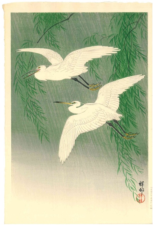 小原古邨　柳に白鷺　中