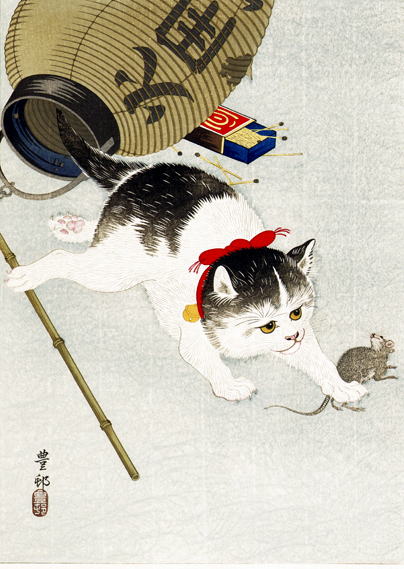 小原古邨　猫と提灯