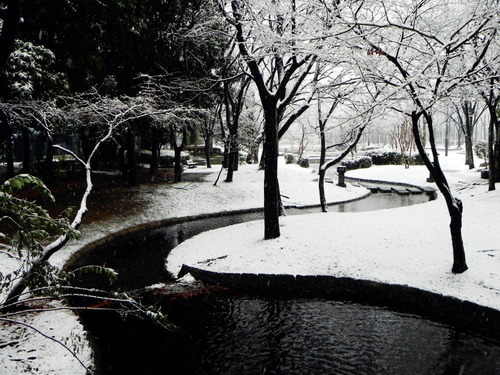 DSCN9075 - コピー