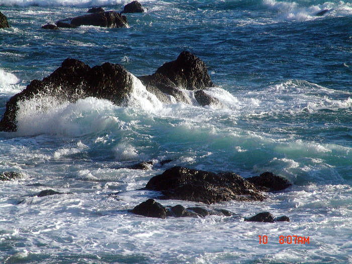 dsc00050.jpg