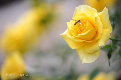 8b98317958ea3c201bc675ef719df628