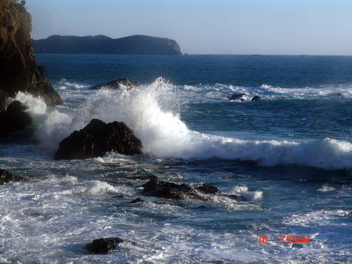 dsc00041.jpg