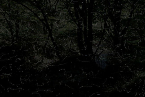 DSCN6186-1000 - コピー