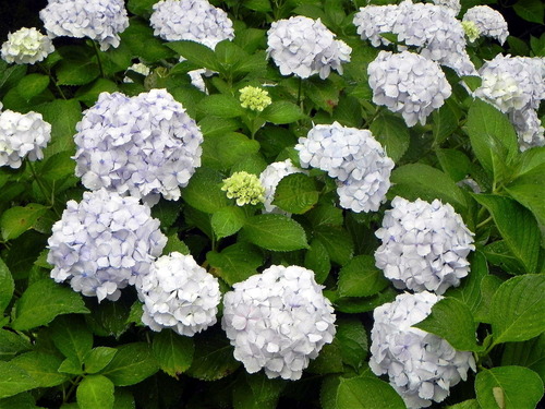 DSCN1389