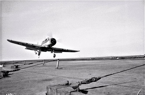 Blackburn_Skua__英国海軍空母Ark_Royal