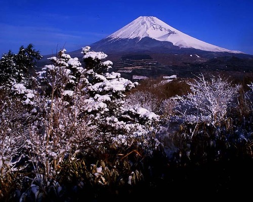 3030272 越前岳から