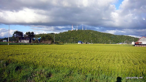 46966300 旭山動物園